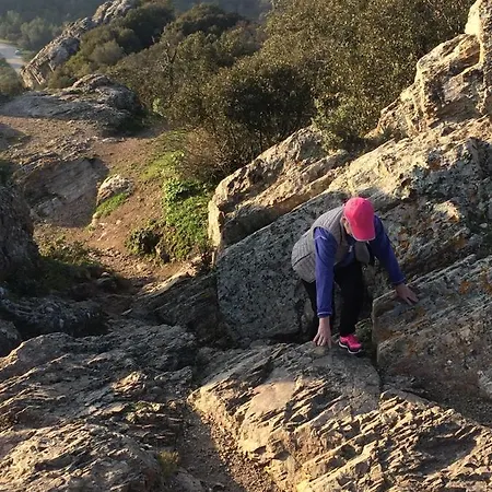 Lou Gecko Holiday home *