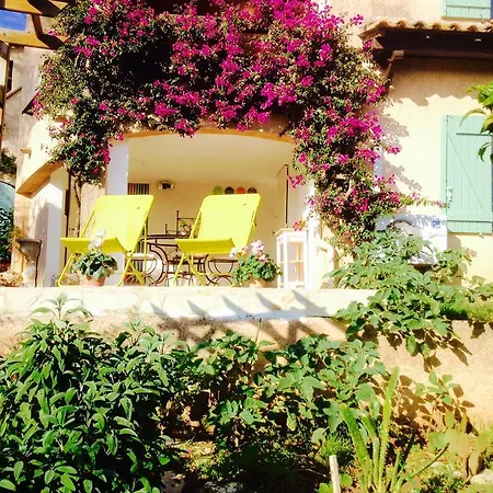 Lou Gecko Vakantiehuis *