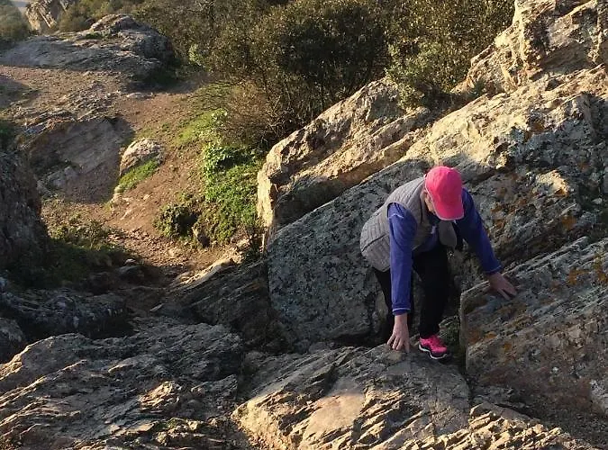 Lou Gecko Ferienhaus *